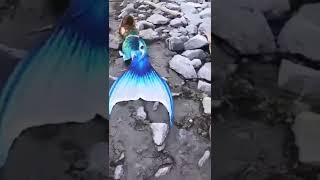 Real mermaid jalpari (real seen)🤔😱#shorts #viralvideo #jalpari