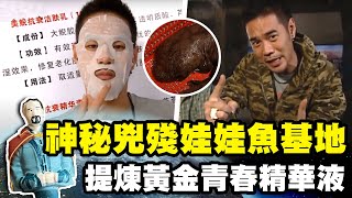 【中國】神秘兇殘娃娃魚基地 提煉黃金青春精華液｜《世界第一等》98集濃縮精華版