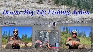 Insane Dry Fly Fishing Action  (Fishing for Grayling)