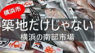 電車で行ける横浜の市場【南部市場】と三井アウトレットパーク