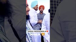 Justice for sidhu moosewala🥺🦅#justiceforsidhumoosewala #295 #5911 #blackday #mansa #viral #shorts