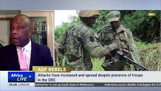 Allied Democratic Forces' influence in DR Congo explained