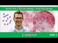 Listeria (Part 2) - Veterinary Bacteriology and Mycology