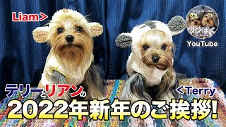 【よろしく2022年】新年あけましておめでとうございます🎍（4K映像）【テリーとリアン】