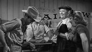 Shocking Facts You Dont Want To Know About The Southerner Movie