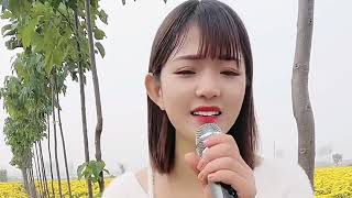 一首情歌《来生再续缘》歌声甜美又柔情，好听极了！,音乐,流行音乐,好看视频