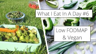What I Eat In A Day for IBS #8 - Low FODMAP + Vegan