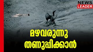 വേനല്‍ച്ചൂടിന് ആശ്വാസം@newsleaderchannel