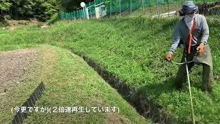 【草刈機】この刈り方はどうか？？４月の田んぼの畦と斜面の草刈り。水路あり。水路掃除まで含めてベストMowingは？今回はU字ハンドル草刈機とナイロンコード‼︎解説と反省付き‼︎