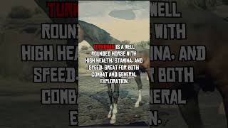 RDR2 -The Real Truth About Horses #shorts #rdr2