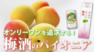 ナンバーワンではなくオンリーワンを目指す/チョーヤ【今、この中小企業がアツい！】【月刊「理念と経営」】 第7回