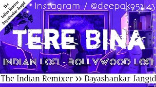 Tere Bina ~ Lofi Remake | Indian LOFI | Bollywood LOFI | The Indian Remixer Dayashankar Jangid