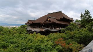 [ゆるり京都お散歩] 2022年8月28日早朝の清水寺をゆっくりお散歩。Take a leisurely walk around Kiyomizu-dera in the early morning.