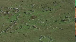 Aerial view of Bronze Age hut circles, Merrivale, Dartmoor National Park, UK