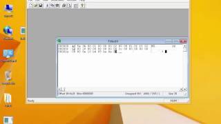 Hello World Program in hexadecimal