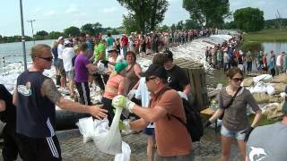 Hochwasser in Magdeburg Lostau Sachsen Anhalt 9.6.2013