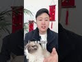 为什么养猫的人，大部分都会后悔？ 科学养宠攻略 新手养猫 养猫人 猫咪发情怎么办 谁能拒绝傻憨憨的小猫咪