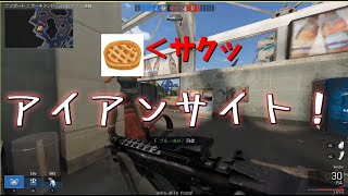 サクッとアイアンサイト【Iron Sight】