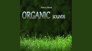 Organic Sounds