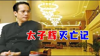 梁耀辉靠歪脑筋发财，成为东莞“太子辉”，也让自己走上灭亡路