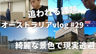 大学の課題に追われているので景色が綺麗なカフェやクイーンズランド大学に行って現実逃避／留学生の休日 vlog#29