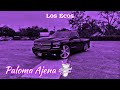 Los Ecos - Paloma Ajena (slowed) (rebajada) #cumbia