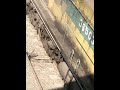 wdm3a diesel locomotive trainshorts trainvideo shorts wdm3a