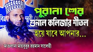 পুরানা শের শুনলে কলিজা শীতল  হয়ে যাবে | মাওলানা মাহবুবুর রহমান সালেহী | mahbubur rahman salehi waz