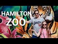 Hamilton New Zealand | Hamilton Zoo | Surprise Hamilton Trip