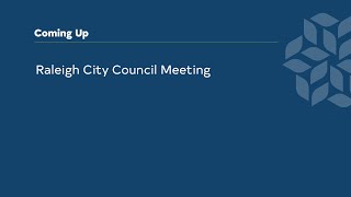 Raleigh City Council Afternoon Session - November 19, 2024