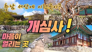 충남 여행 꼭 가봐야 할 서산에 이런곳이?! 마음이 열리는 곳 서산 개심사. 충청도 가볼만한곳, 사찰여행, 국내여행, 불교