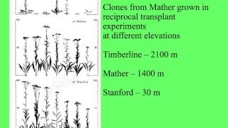 EvolutionOutcomes