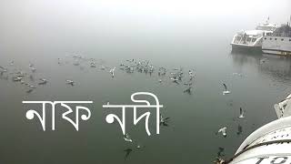 Seagull/গাংচিল (WP Pro)