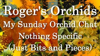 My Sunday Orchid Chat - Nothing Specific