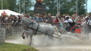 Júliusi fogathajtó verseny legjobb pillanatai (2017)