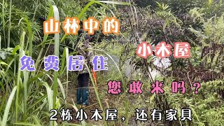 山林中的2栋小木屋，还有家具，假如免费居住，您敢来吗？