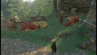 Enshrouded : -Dune Armadillo tame and base chores