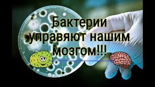 Кукловоды - Бактерии. Кто нами управляет?