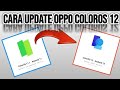 Cara Update Oppo ColorOS 12