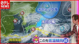 【解説】関東甲信地方で梅雨入り「梅雨寒」のスタート