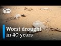 Drought puts millions on the brink of starvation in Somalia | DW News