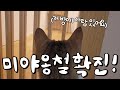 sub) 의도치 않은 또 한번의 v-log 이번엔 자가격리를 곁들인…