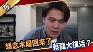 《八點檔搶先爆》愛的榮耀 EP251 想念木屐回來了 蔡龍大復活？