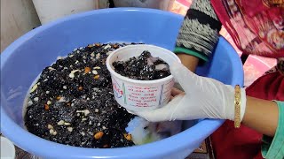 Healthiest Dryfruit Loaded Indian Sweet | Kachariyu of Sesame Seeds | Indian Street Food