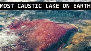 Lake Natron Helicopter Crash | Lesser Flamingos