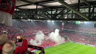 1.FC Köln Hymne und 1. Teil der Choreo vor dem Spiel gegen Partizan Belgrad
