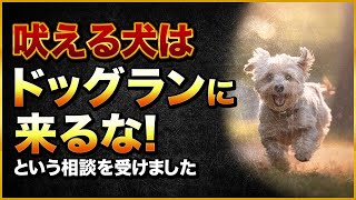 吠える犬はドッグランに来るな！という相談を受けました。