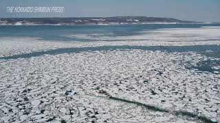 Abashiri’s drift-ice sightseeing reaches its peak  20220312