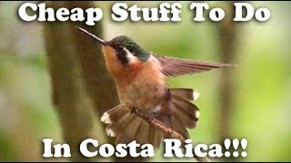 Dirt Cheap - Monteverde, Costa Rica (San Jose and Cloud Forest)