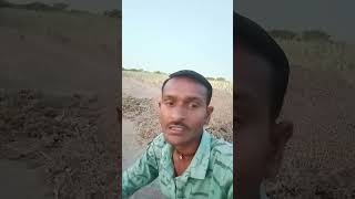 સૌથી સવાયો મારો પ્યાર #video_viral #2025